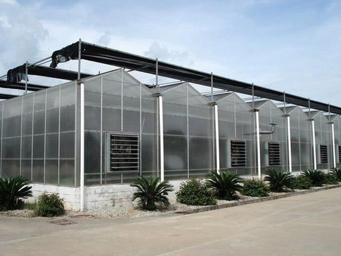 Company Greenhouse